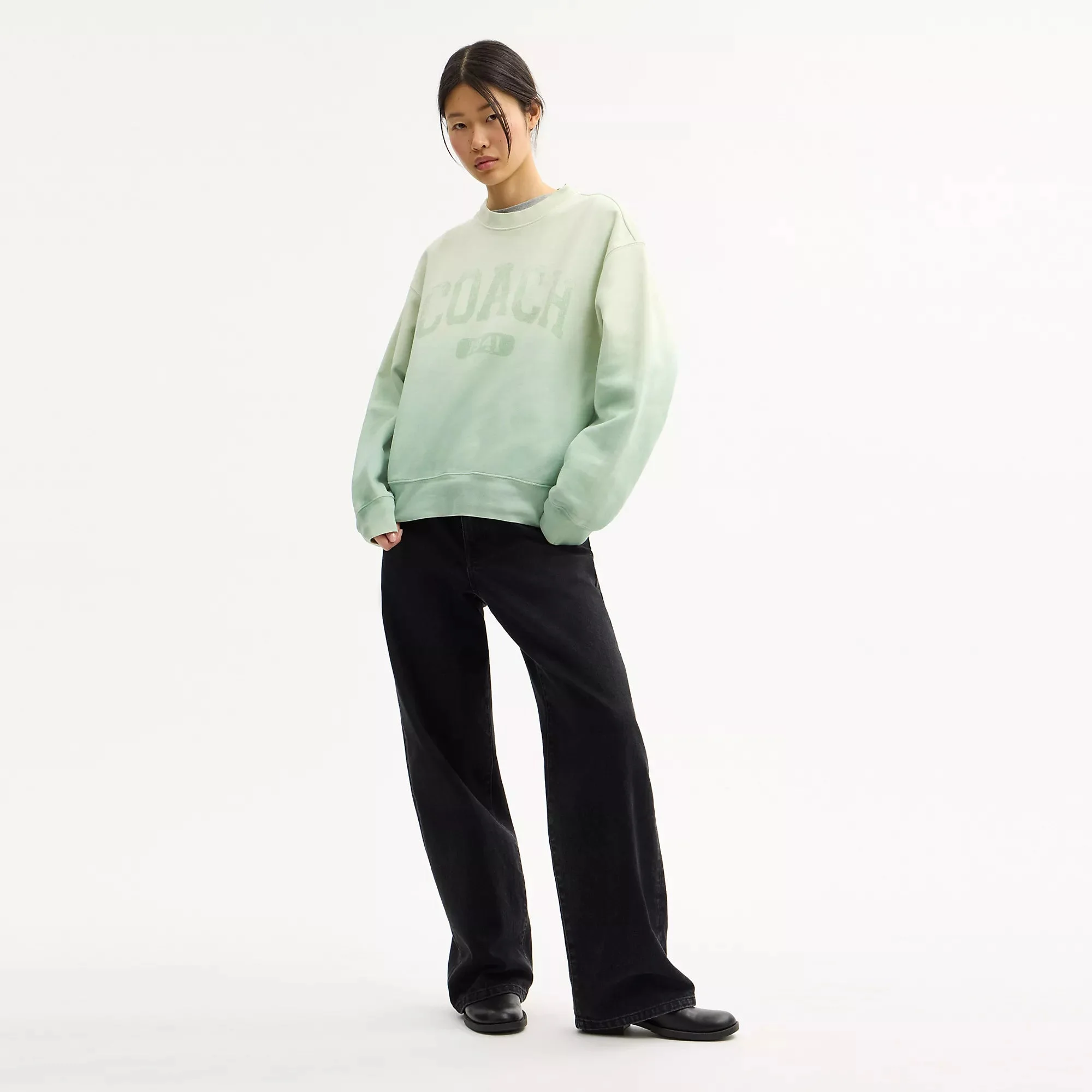 Coach Ombre Sporty Crewneck Sweatshirt In Organic Cotton